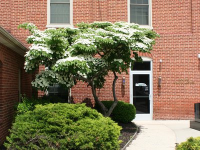 Police Department
