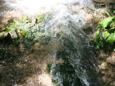 WWTP