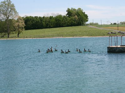 IMG_9582.JPG