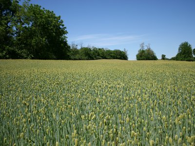 IMG_9617.JPG
