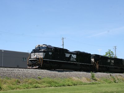 IMG_9773.JPG