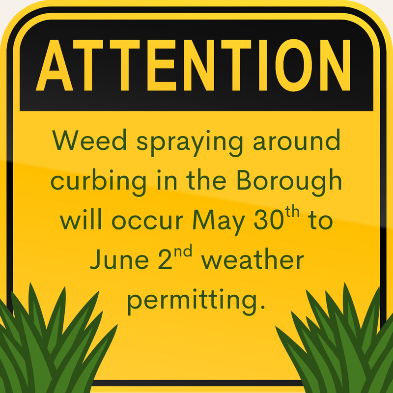 Weed spraying 2025